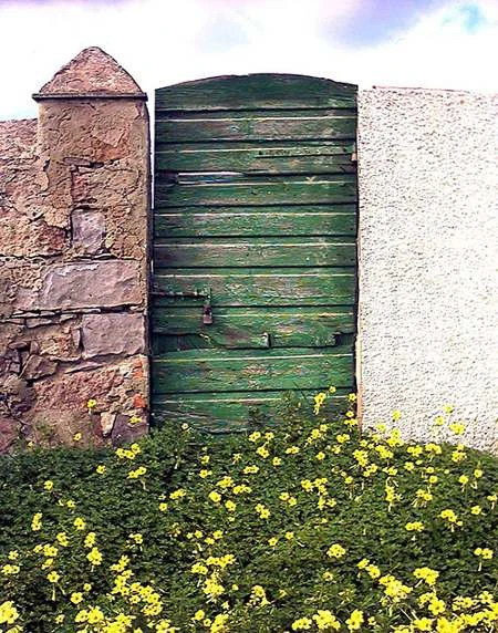 nel giardino dai fiori gialli, una porta. Il problema è sempre quello: cosa ci sarà dietro la porta? Fotografia di Guido Pegna